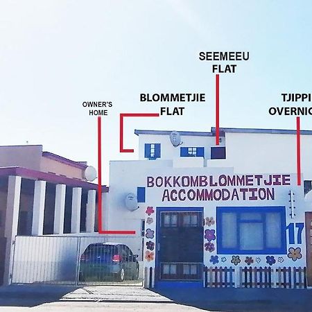 Bokkomblommetjie Lambertʼs Bay Екстериор снимка