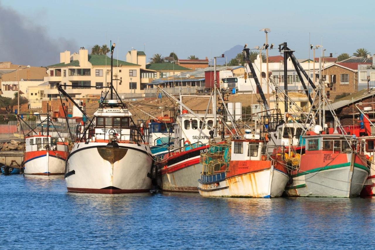 Bokkomblommetjie Lambertʼs Bay Екстериор снимка