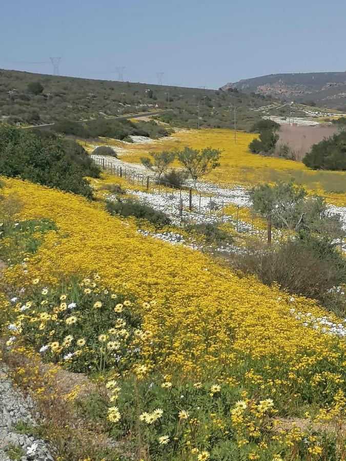 Bokkomblommetjie Lambertʼs Bay Екстериор снимка